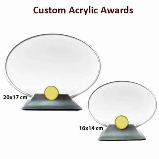 Acrylic award 5