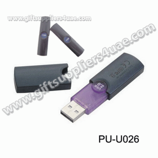 Plastic USB 026