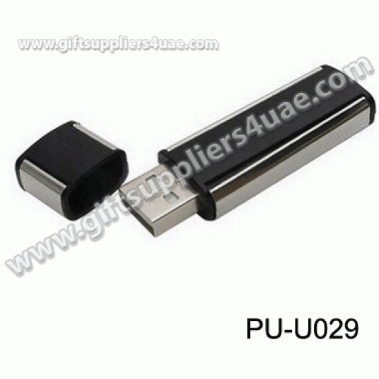 Plastic USB 029
