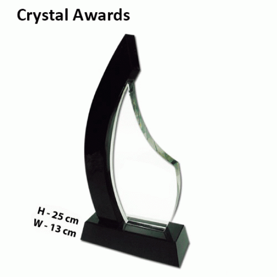 Crystal Award 5