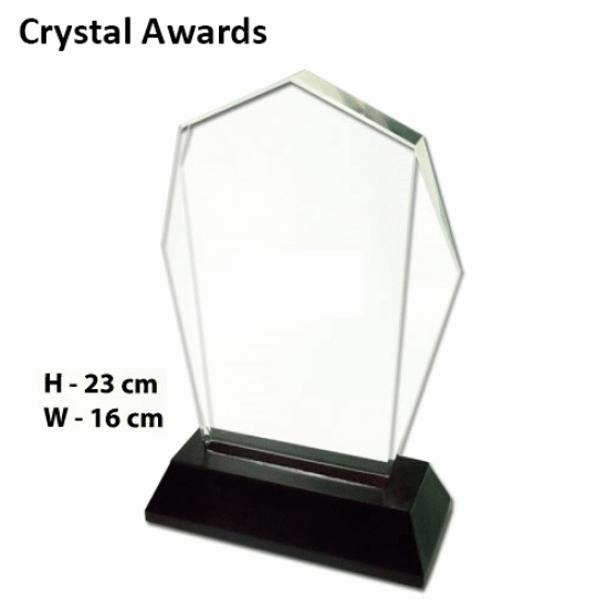 Crystal Award 07