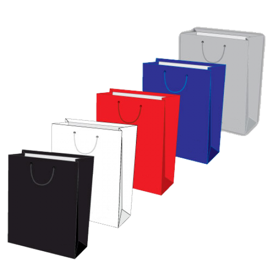 Laminated Paper Shopping Bags A4-V -264x136x327 mm